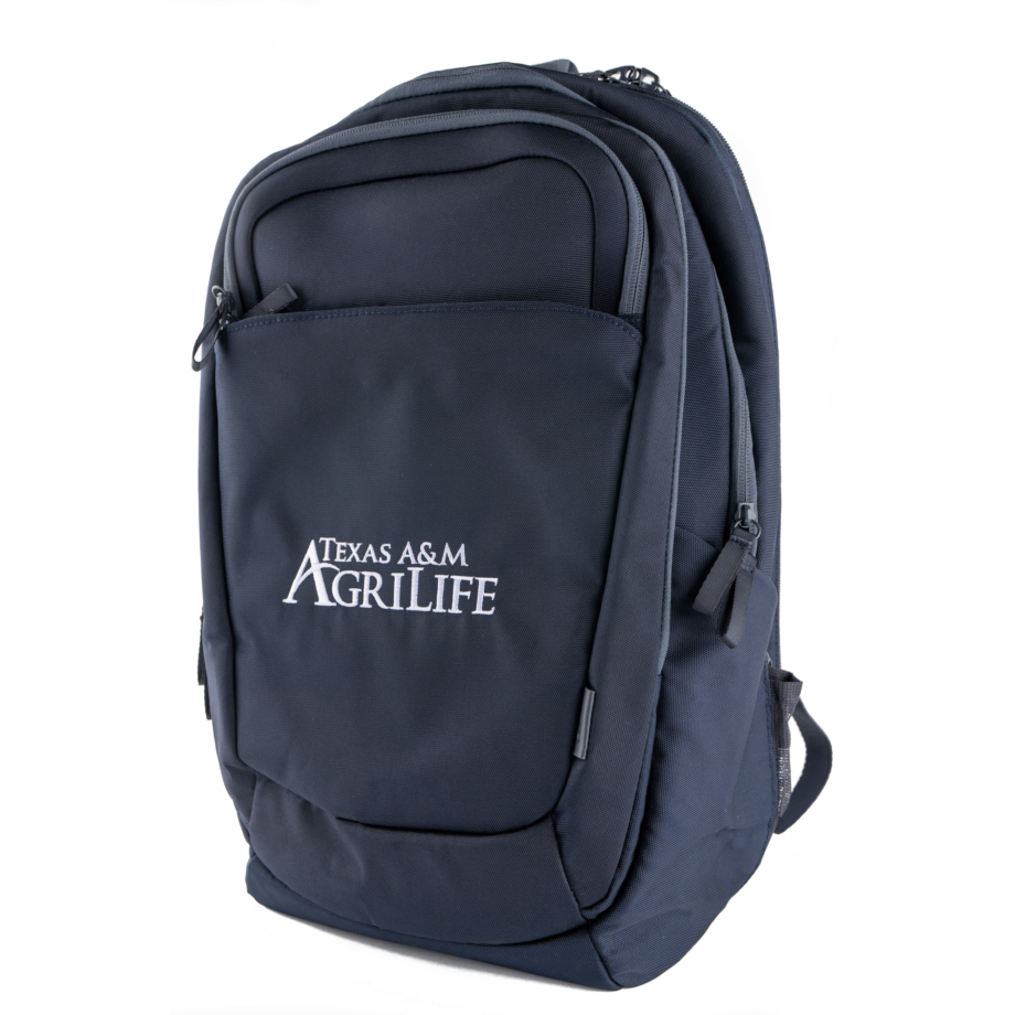 HP Multipurpose Backpack