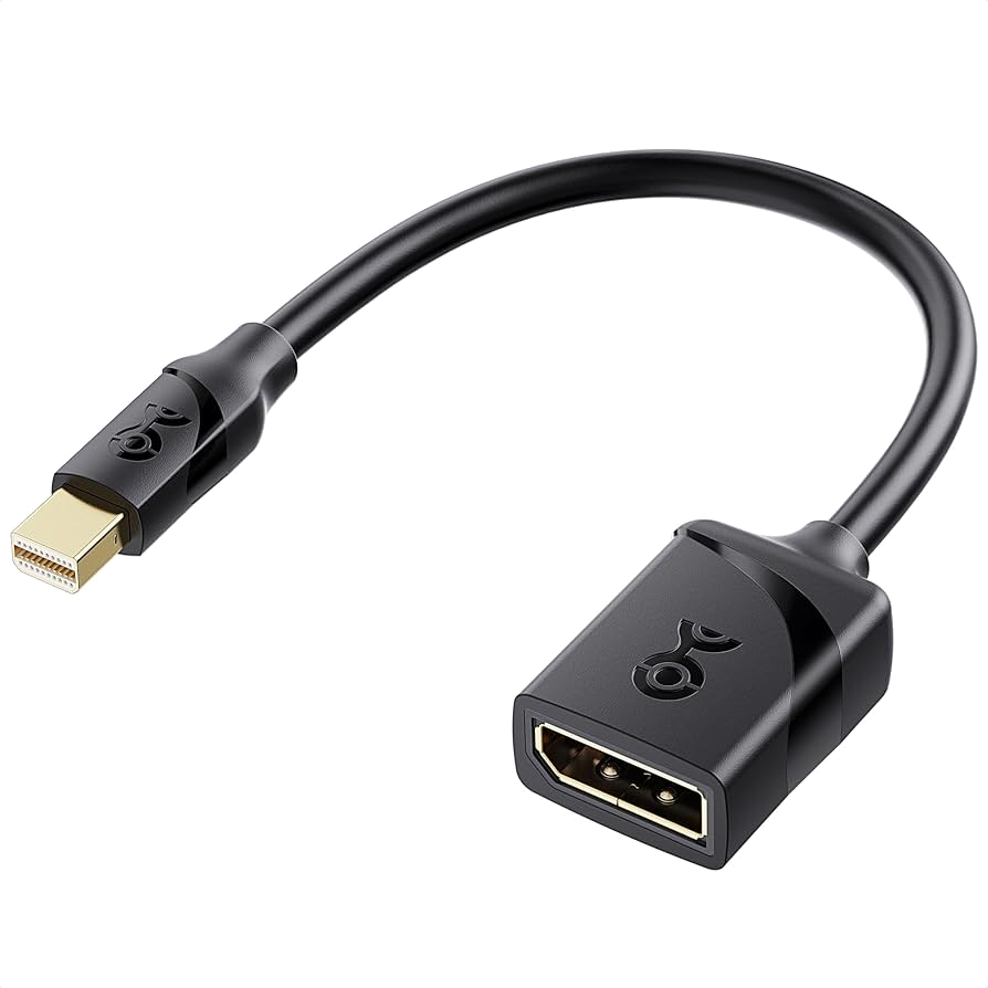 Mini DisplayPort to DisplayPort Adapter