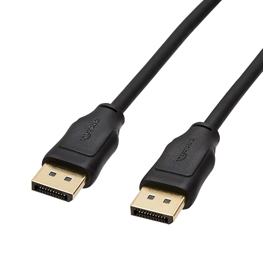 DisplayPort 6ft Cable